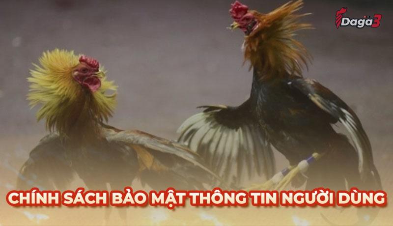 Chính sách bảo mật thông tin người dùng tại Dieutritannhang.net