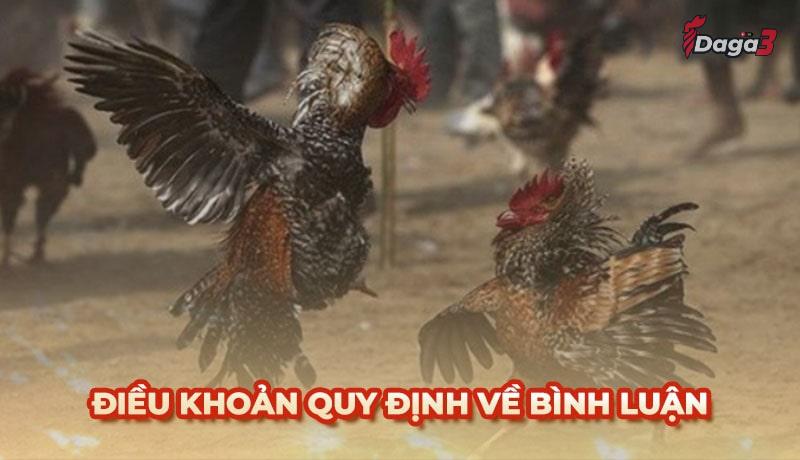 Người dùng cần tuân thủ một số điều khoản khi bình luận trên Dieutritannhang.net