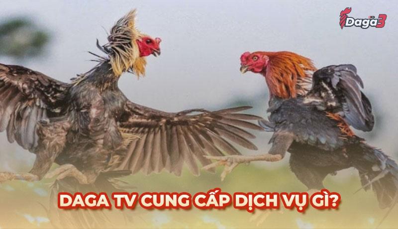 Đá Gà TV là trang phát sóng trực tiếp đá gà chất lượng nhất