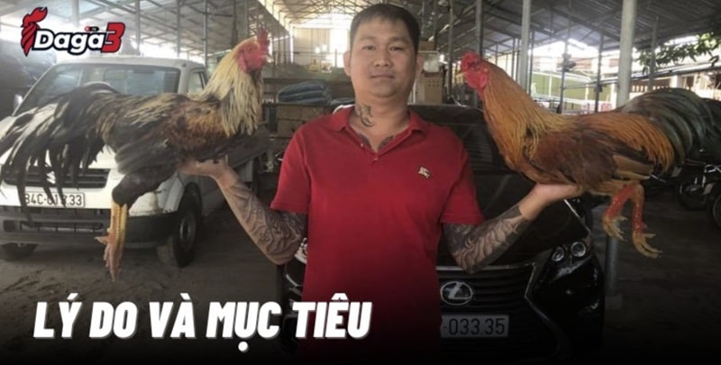 Mít Trà Cú sáng lập trang đá gà trực tiếp Dieutritannhang.net